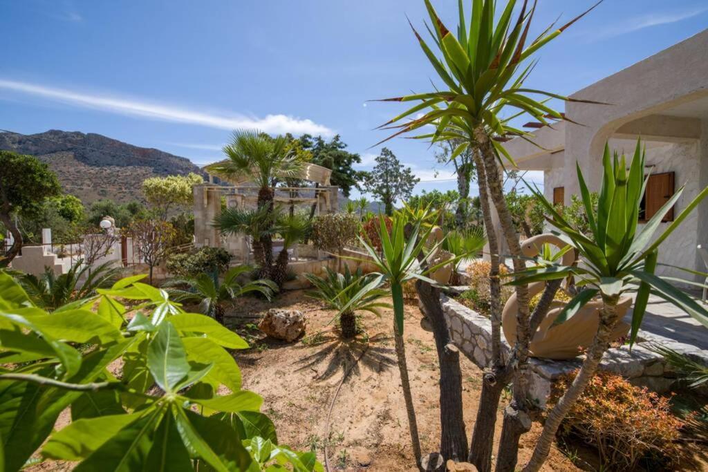 Willa Renas Secret Garden House Chania  Zewnętrze zdjęcie