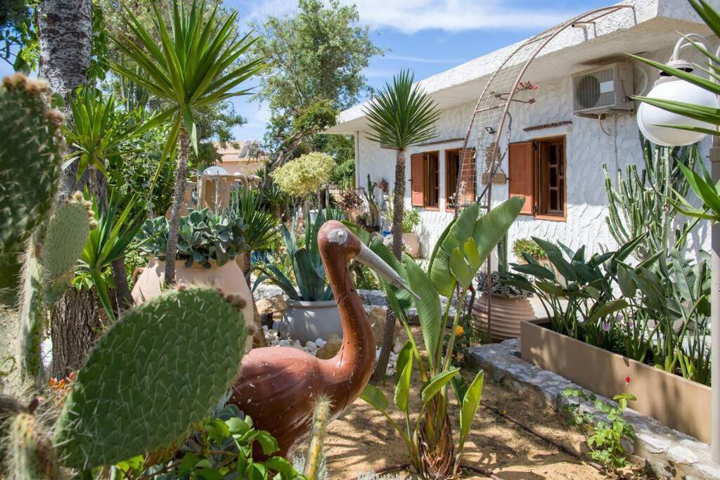 Willa Renas Secret Garden House Chania  Zewnętrze zdjęcie